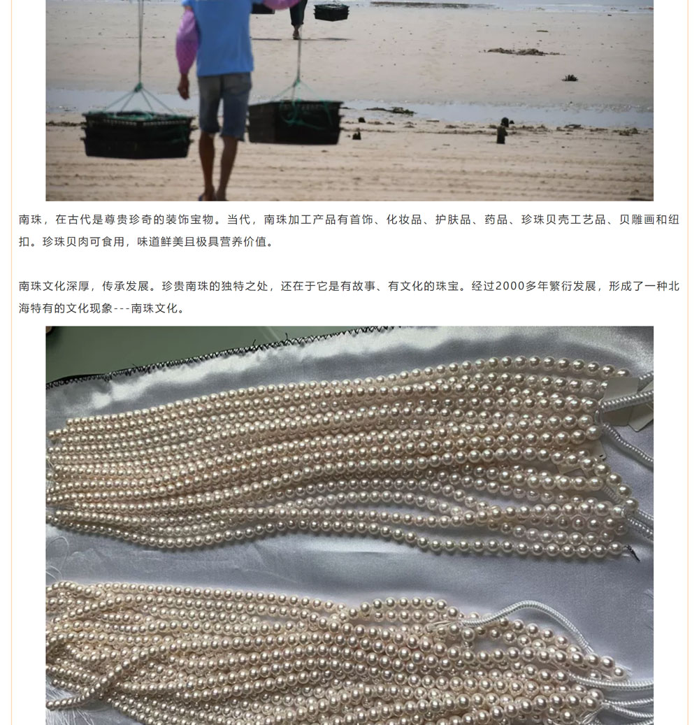 古老南珠，綻放異彩