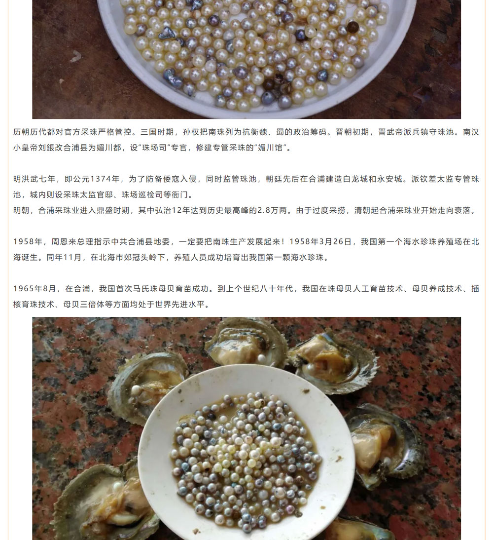 古老南珠，綻放異彩