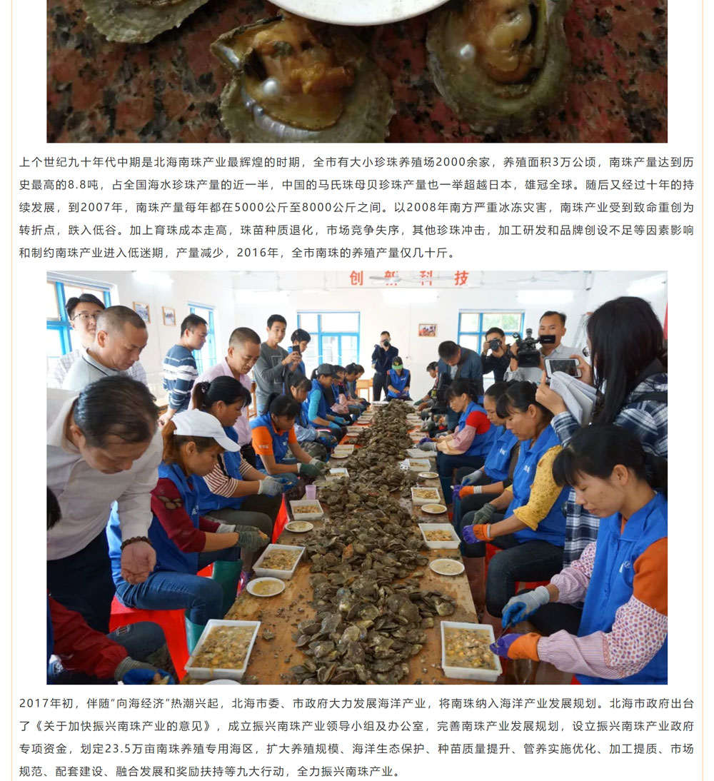 古老南珠，綻放異彩