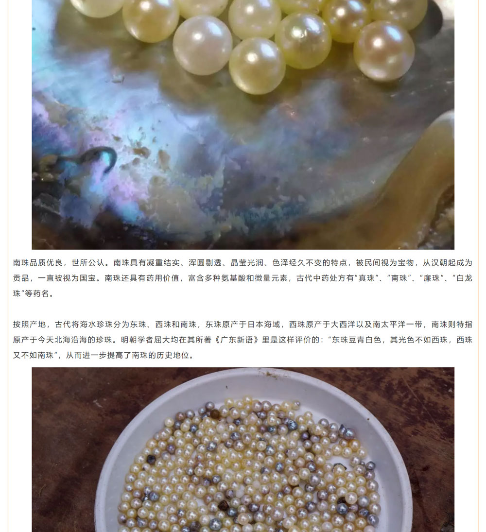 古老南珠，綻放異彩