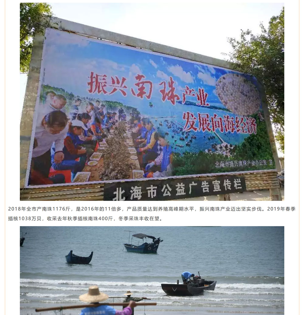 古老南珠，綻放異彩